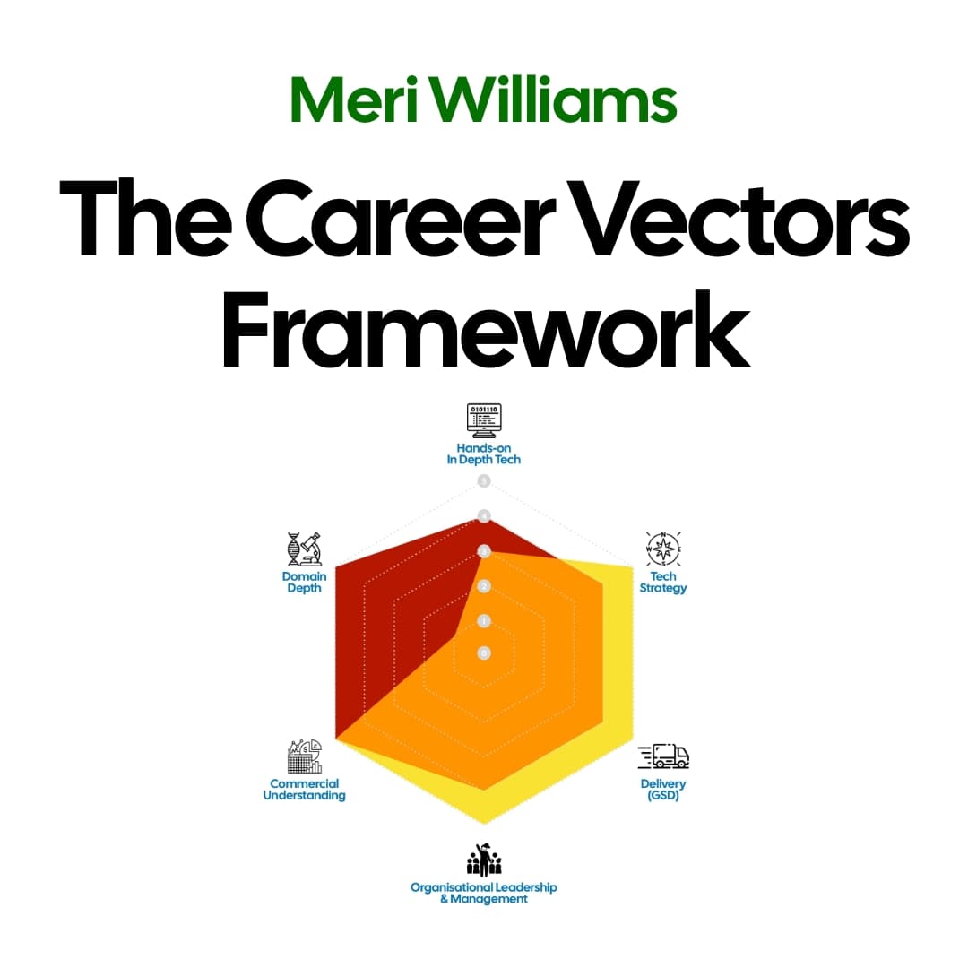 The Career Vectors Framework